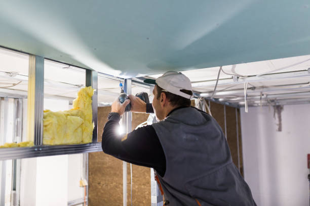 Best Cellulose Insulation in Stone Mountain, GA