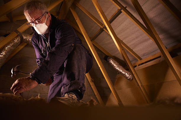 Best Eco-Friendly Insulation in Stone Mountain, GA