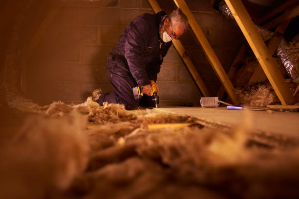 Best Geographic-Specific Insulation Services in Stone Mountain, GA